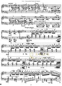 钢琴曲天鹅的教学视频,轻松掌握经典曲目演奏技巧