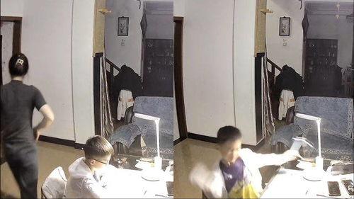 的举动视频,举动瞬间，情感共鸣