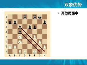 国际象棋教程入门视频,视频课程精华概述