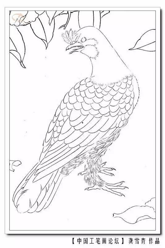 卧蚕的画法视频教程,跟随教程轻松掌握眼妆魅力