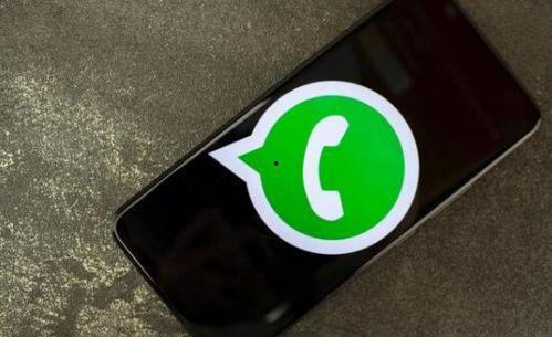 贴纸包视频,趣味互动,创意无限