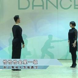舞蹈看电视七级视频,探寻舞蹈艺术的魅力之旅