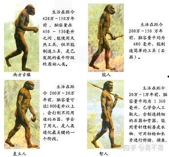人类的起源与进化视频,探寻人类起源与进化之旅