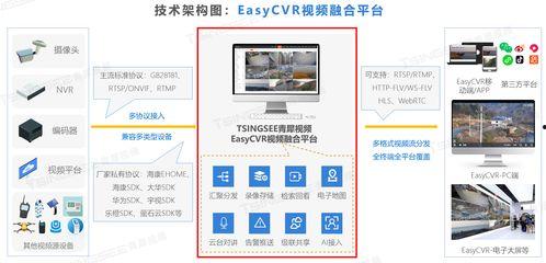 视频文件分析,揭秘[视频标题]背后的精彩故事